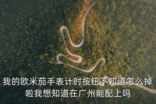 朗格廣州售后在來 世貿大廈南塔15層，我的歐米茄手表計時按鈕不知道怎么掉啦我想知道在廣州能配上嗎