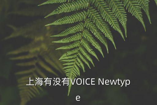 上海市語音導覽系統，上海有沒有VOICE Newtype