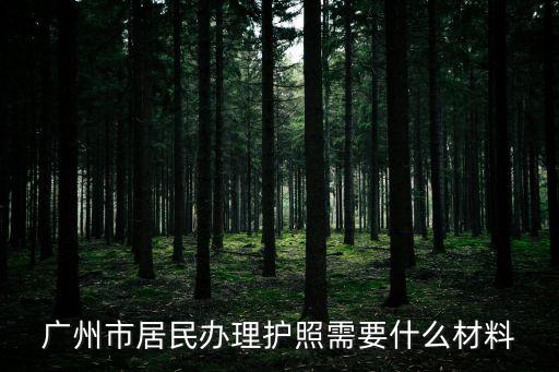 廣州市居民辦理護(hù)照需要什么材料