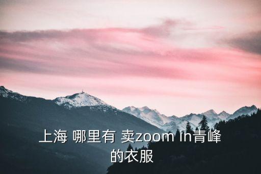 上海 哪里有 賣zoom in青峰 的衣服