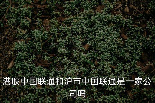 港股中國聯通和滬市中國聯通是一家公司嗎