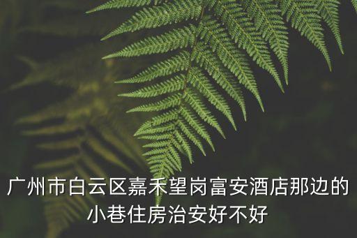 廣州嘉禾望崗有街女嗎2020，廣州市白云區(qū)嘉禾望崗富安酒店那邊的小巷住房治安好不好
