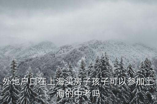 上海市新房搖號積分政策，上海為何搖號買房怎么搖