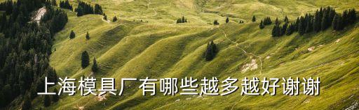上海模具廠有哪些越多越好謝謝