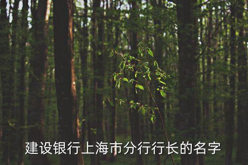 建設銀行上海市分行行長的名字