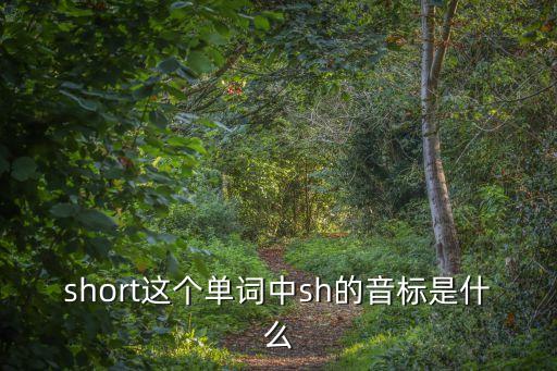 short這個單詞中sh的音標(biāo)是什么