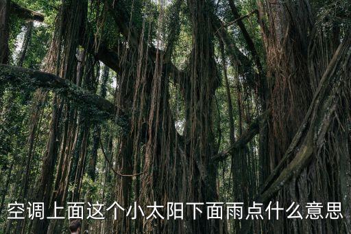 空調上面這個小太陽下面雨點什么意思