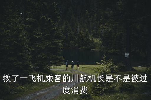 川航英雄機長，救了一飛機乘客的川航機長是不是被過度消費
