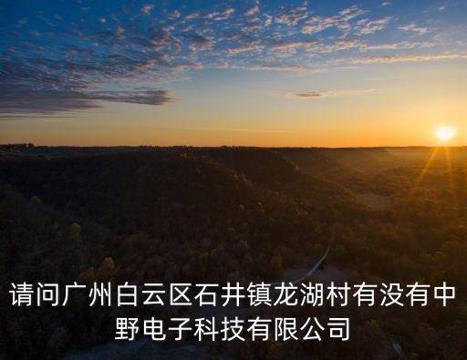 請問廣州白云區石井鎮龍湖村有沒有中野電子科技有限公司