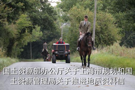 國土資源部辦公廳關于上海市規(guī)劃和國土資源管理局關于推進地質(zhì)資料信