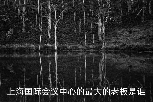 李洞明 上海市政，上海市第二中級人民院長的名字