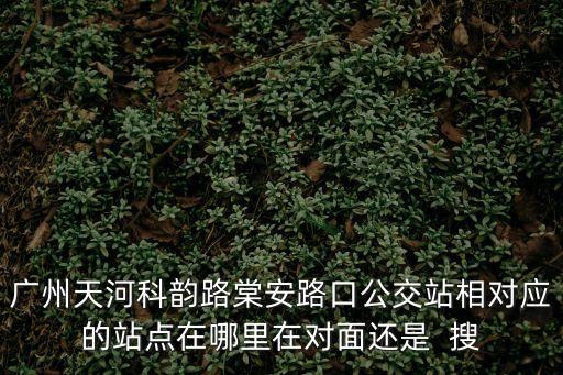 廣州天河科韻路棠安路口公交站相對(duì)應(yīng)的站點(diǎn)在哪里在對(duì)面還是  搜