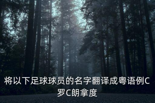 C羅納爾多廣州話，求世界足球頂極的前鋒和中場的粵語名和英文名