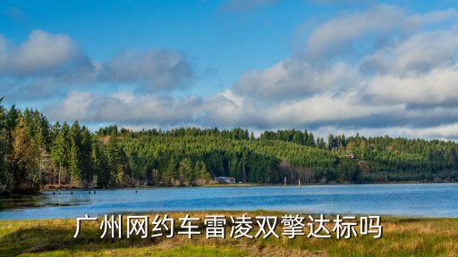 廣州新能源 網約車，15T排量在廣州能做網約車嗎