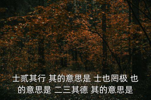 士貳其行，女也不爽士二其行是什么意思