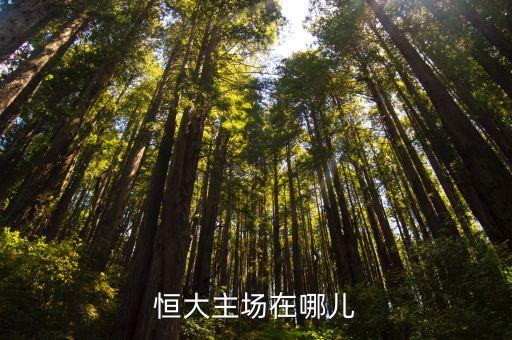恒大主場在哪兒