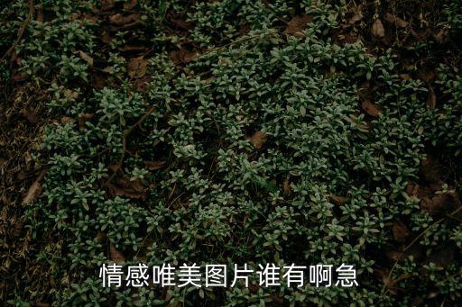 情感圖片，想找些傷感的圖片