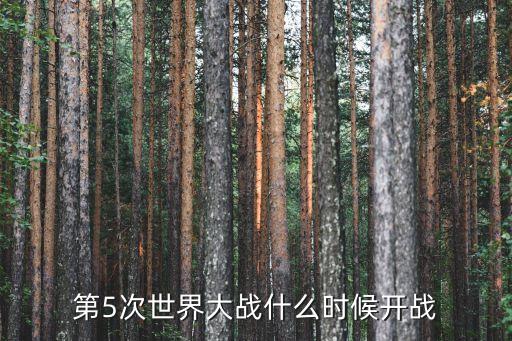 第五次世界大戰(zhàn)，第5次世界大戰(zhàn)什么時(shí)候開戰(zhàn)