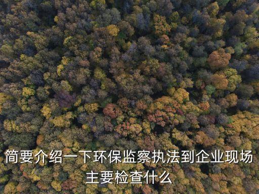 上海市環保督察工作規定，環衛督察制度