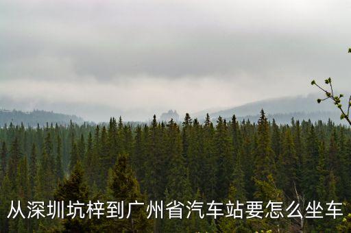 從深圳坑梓到廣州省汽車站要怎么坐車