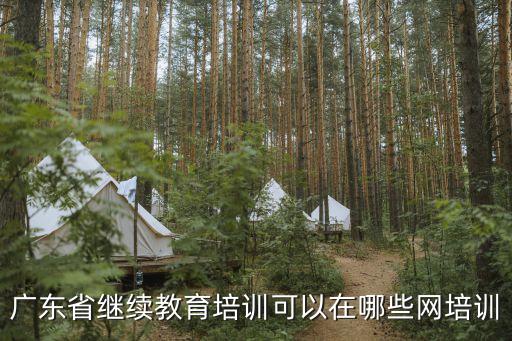 廣東省繼續教育培訓可以在哪些網培訓