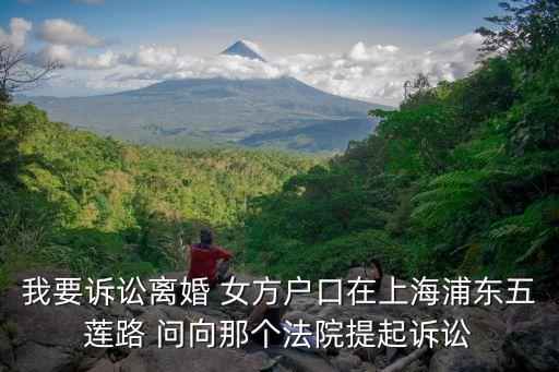 我要訴訟離婚 女方戶口在上海浦東五蓮路 問向那個法院提起訴訟