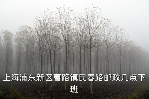 上海市民春路516弄郵編，上海理工大學(xué)的郵編