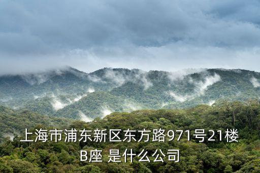 上海市博佳貿(mào)易有限公司，上海市浦東新區(qū)東方路971號(hào)21樓B座 是什么公司
