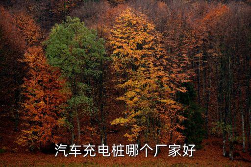 上海市充電樁安裝廠家，汽車充電樁什么公司