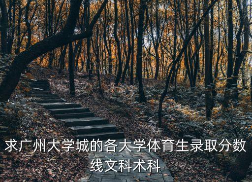 2020廣州體育校考錄取分數線，廣州體育學院今年的體藝類錄取分數線是什么