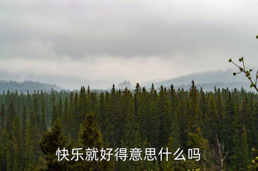 快樂就好得意思什么嗎
