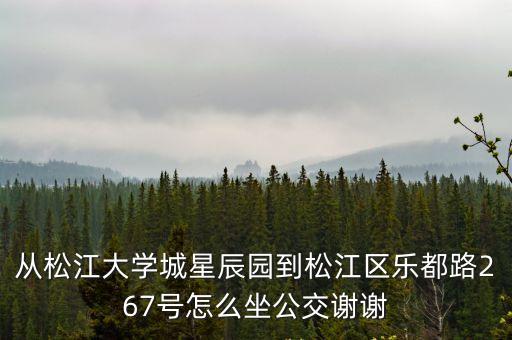 從松江大學(xué)城星辰園到松江區(qū)樂都路267號(hào)怎么坐公交謝謝