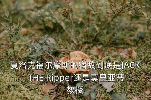 夏洛克福爾摩斯的宿敵到底是JACK THE Ripper還是莫里亞蒂教授