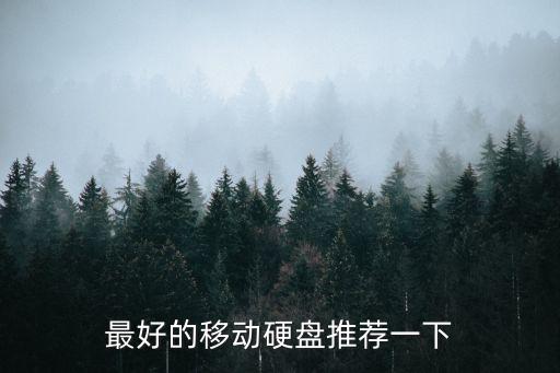 最好的移動硬盤推薦一下