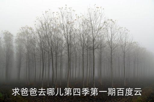 求爸爸去哪兒第四季第一期百度云