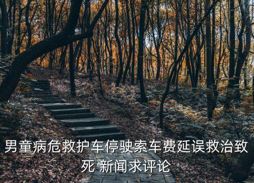 男童病危救護(hù)車停駛索車費(fèi)延誤救治致死 新聞求評論