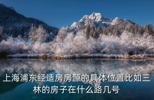 上海市郊動遷房經適房，上海浦東經適房房源的具體位置比如三林的房子在什么路幾號