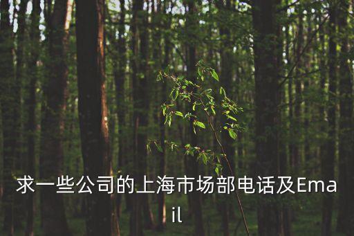求一些公司的上海市場(chǎng)部電話及Email