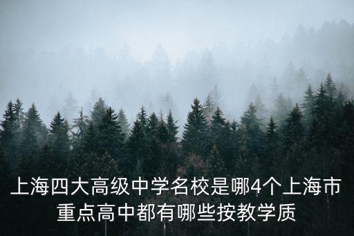 上海四大高級中學名校是哪4個上海市重點高中都有哪些按教學質