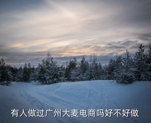 廣州大麥0電商解決方案服務(wù)商，有人做過廣州大麥電商嗎好不好做