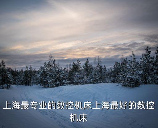 上海最專業的數控機床上海最好的數控機床
