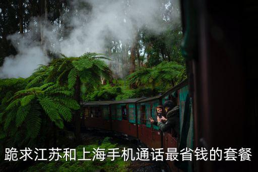 上海市通話最低套餐，上海移動手機交話費最低交多少