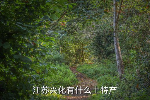 興化特產(chǎn)，江蘇興化有什么土特產(chǎn)