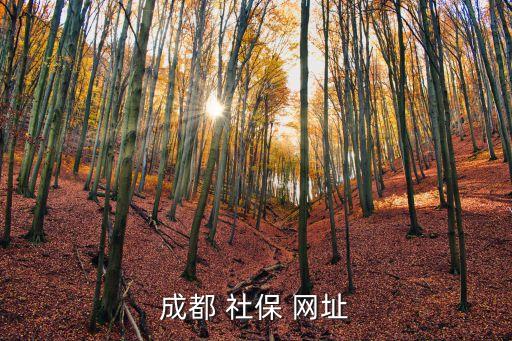 成都市社保局官網，成都市社保局網址如何在網上查詢交費情況