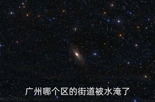 廣州哪個區的街道被水淹了