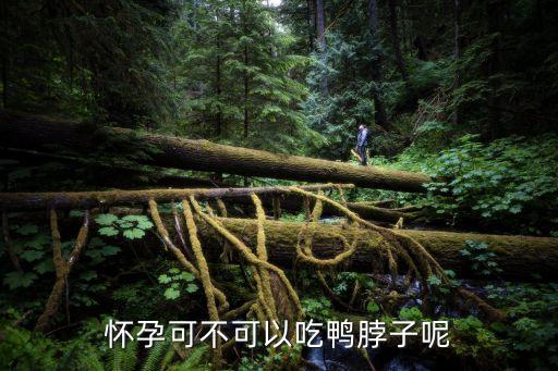 懷孕可以吃鴨脖嗎，懷孕能吃鴨脖子嗎