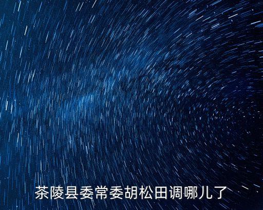 上海市茶陵籍領導，茶陵縣委常委胡松田調(diào)哪兒了