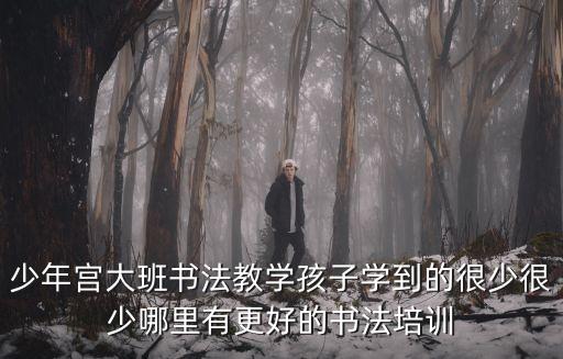 上海市少年宮書法指導(dǎo)，上海少兒書法哪里教的好