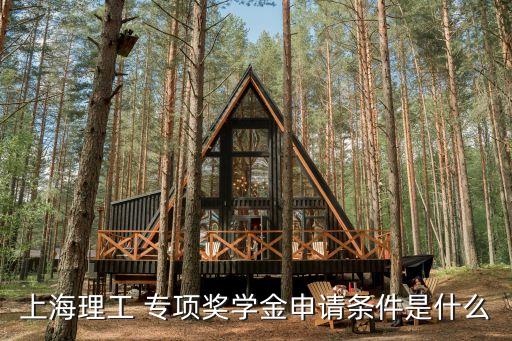上海市獎(jiǎng)學(xué)金大幾可以申請(qǐng)，上海市獎(jiǎng)學(xué)金如何申請(qǐng)