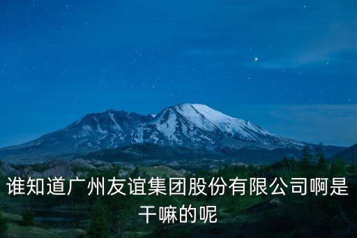 誰(shuí)知道廣州友誼集團(tuán)股份有限公司啊是干嘛的呢